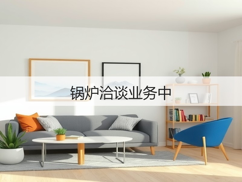 锅炉洽谈业务中 锅炉洽谈业务中